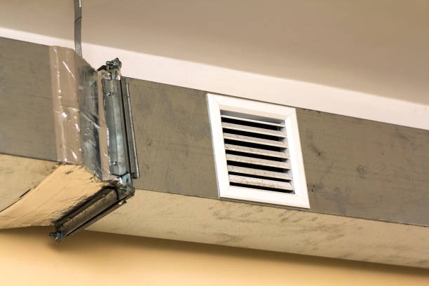 Best Home Air Vent Cleaning  in Berthoud, CO